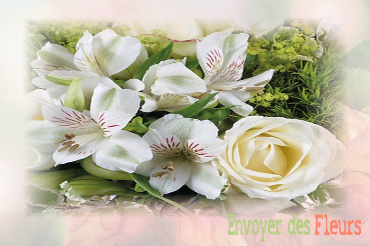 envoyer des fleurs à à SAINT-BAZILE-DE-LA-ROCHE
